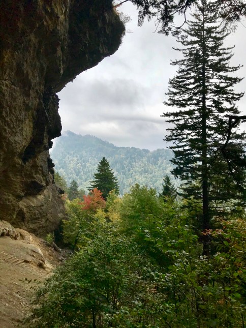 45408754692_55f573a385_o